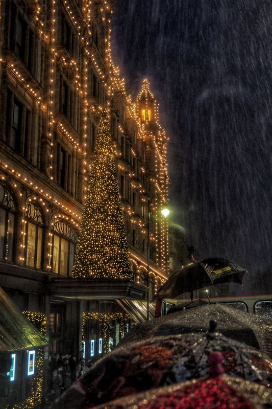 Rain on the Open Top, London, UK