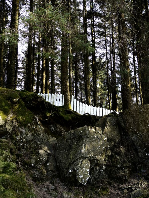 Grizedale, The Lake District, UK
