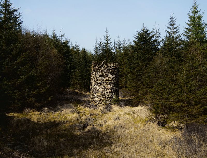 Grizedale, The Lake District, UK