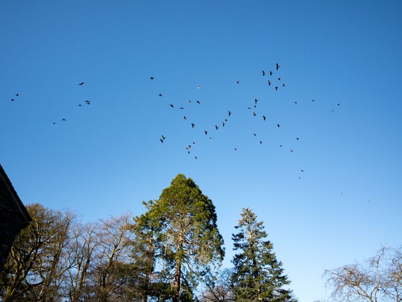 Near Sawrey, The Lake District, UK