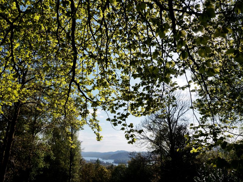 Orrest Head, The Lake District, UK