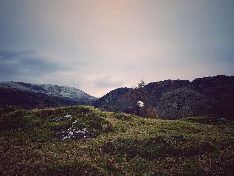 Tarn Hows, The Lake District, UK