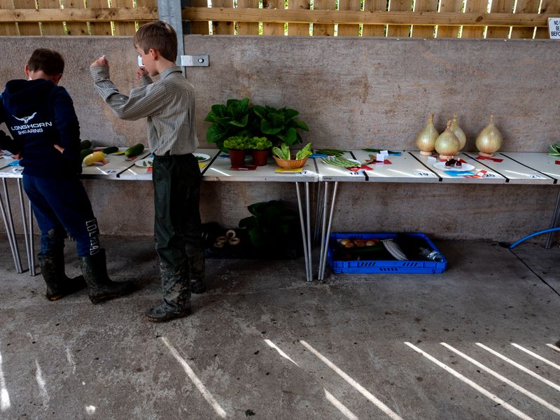 Hawkshead Agricultural Show, The Lake District, UK