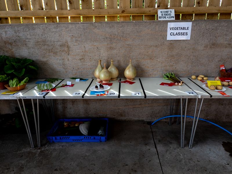 Hawkshead Agricultural Show, The Lake District, UK