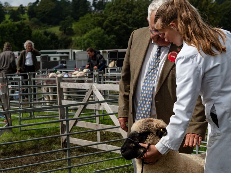 Hawkshead Agricultural Show, The Lake District, UK