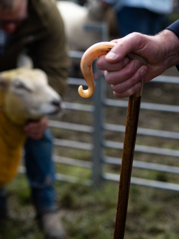Hawkshead Agricultural Show, The Lake District, UK