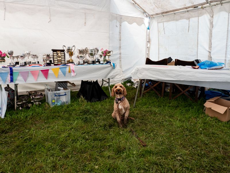 Hawkshead Agricultural Show, The Lake District, UK