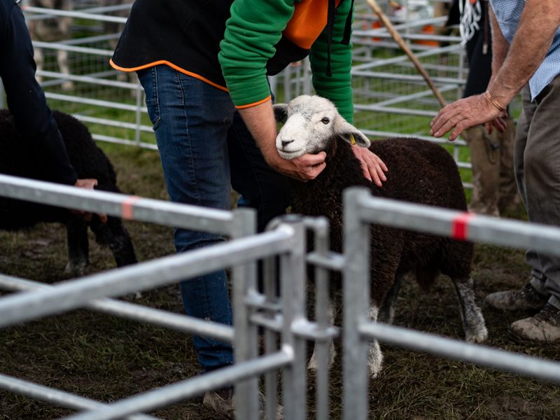 Hawkshead Agricultural Show, The Lake District, UK