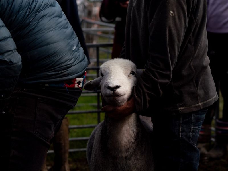 Hawkshead Agricultural Show, The Lake District, UK