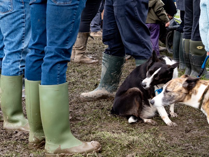 Hawkshead Agricultural Show, The Lake District, UK