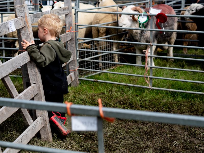 Hawkshead Agricultural Show, The Lake District, UK