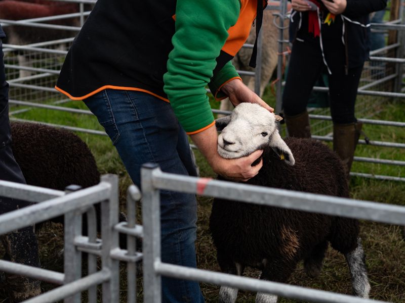 Hawkshead Agricultural Show, The Lake District, UK