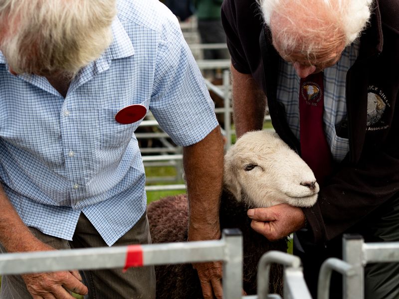 Hawkshead Agricultural Show, The Lake District, UK