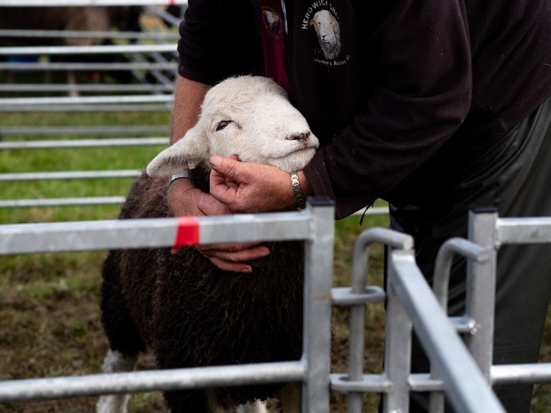 Hawkshead Agricultural Show, The Lake District, UK