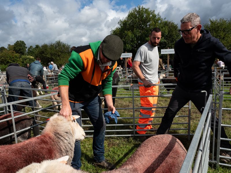 Hawkshead Agricultural Show, The Lake District, UK