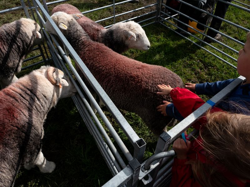 Hawkshead Agricultural Show, The Lake District, UK