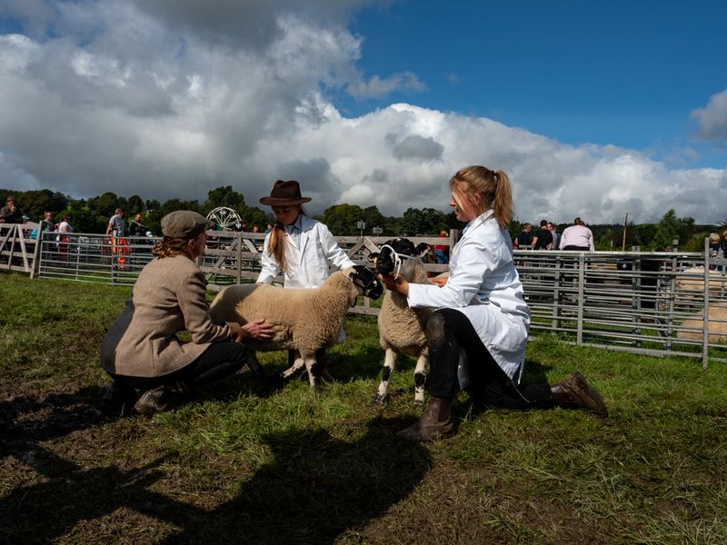 Hawkshead Agricultural Show, The Lake District, UK