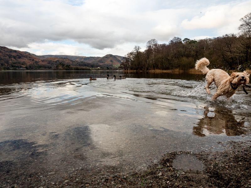 Grasmere, The Lake District, UK