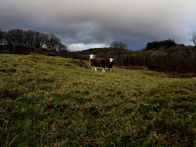 Cartmel Fell, The Lake District, UK