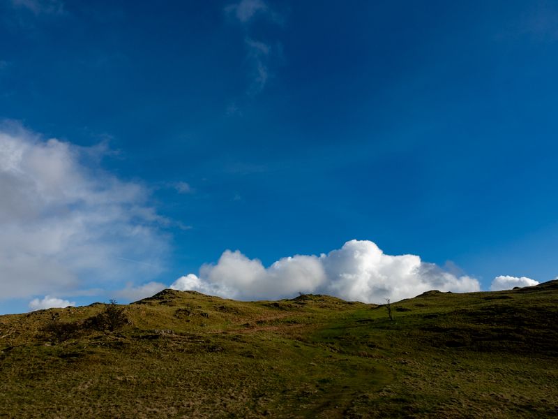 School Knott, The Lake District, UK