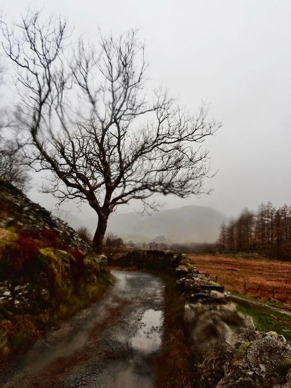 Little Langdale, The Lake District, UK