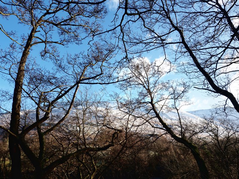 The Ullswater Way: Howtown to Glenridding, The Lake District, UK