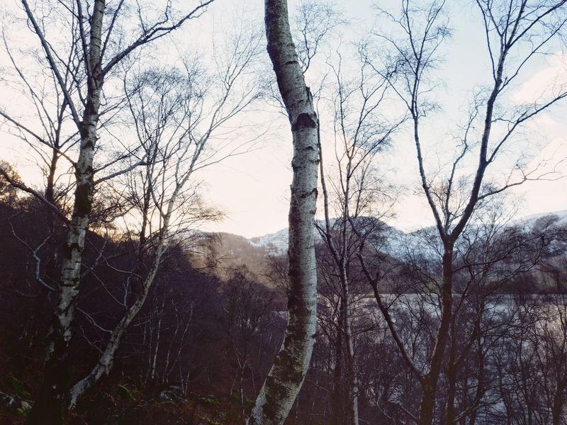 The Ullswater Way: Howtown to Glenridding, The Lake District, UK