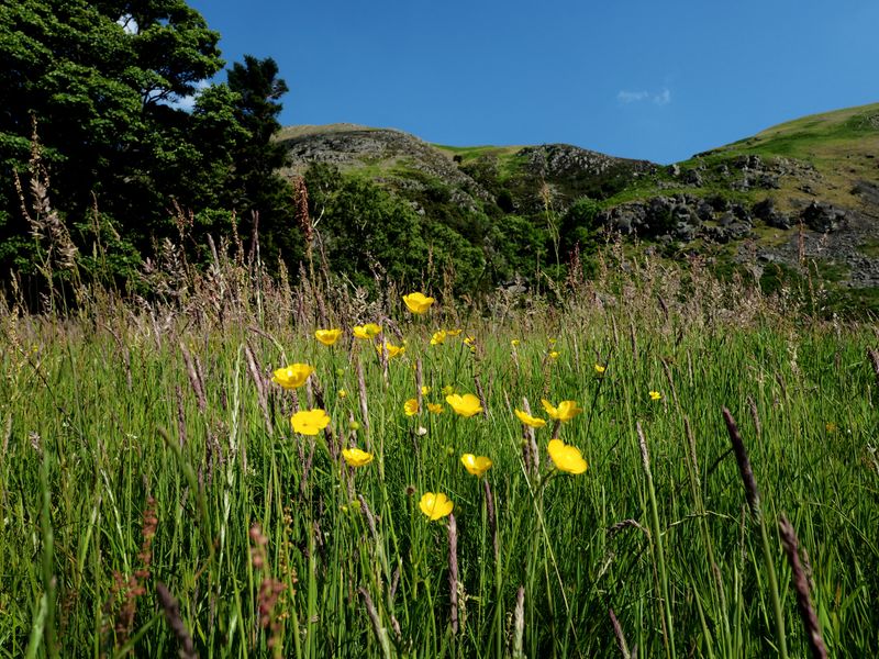 The Ullswater Way: Howtown to Pooley Bridge, The Lake District, UK