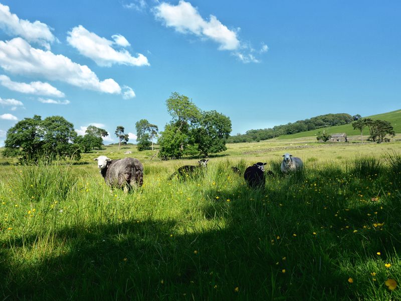 The Ullswater Way: Howtown to Pooley Bridge, The Lake District, UK