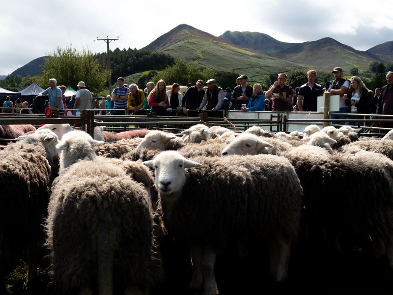 Keswick Show, The Lake District, UK