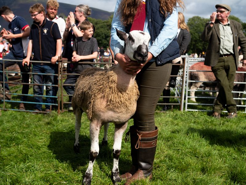 Keswick Show, The Lake District, UK