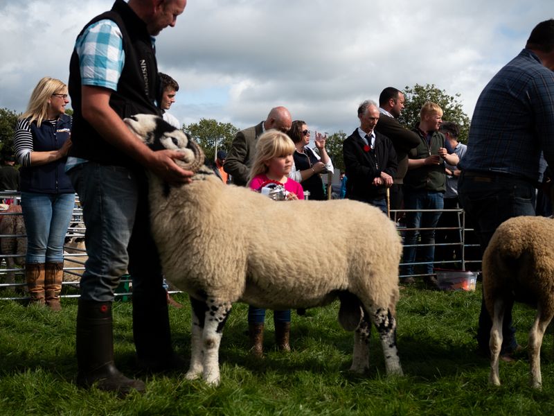 Keswick Show, The Lake District, UK