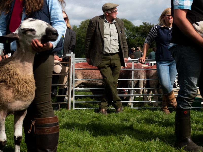 Keswick Show, The Lake District, UK