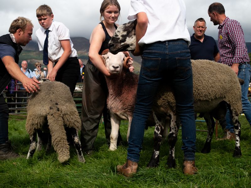 Keswick Show, The Lake District, UK