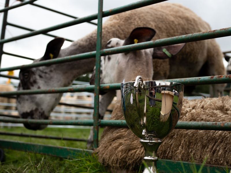 Keswick Show, The Lake District, UK