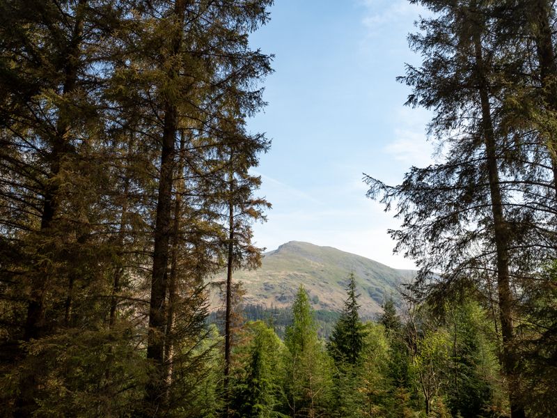 Armboth Fell, The Lake District, UK
