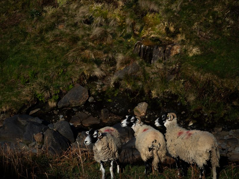 Bannerdale Crags, The Lake District, UK