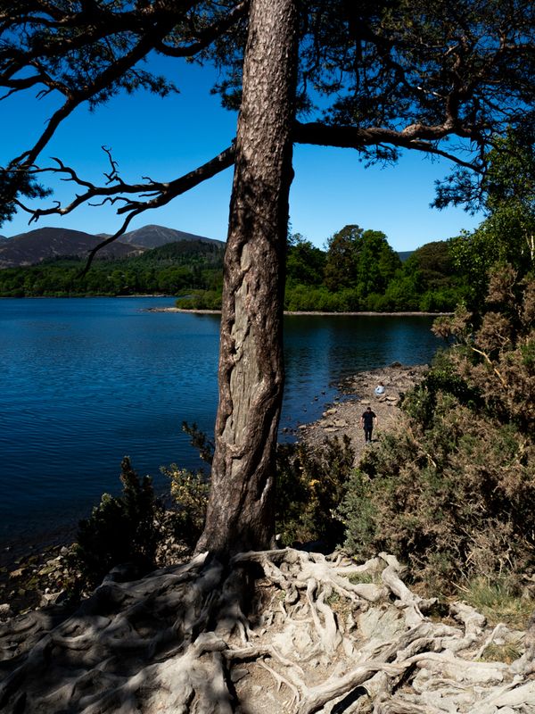 Derwentwater, The Lake District, UK