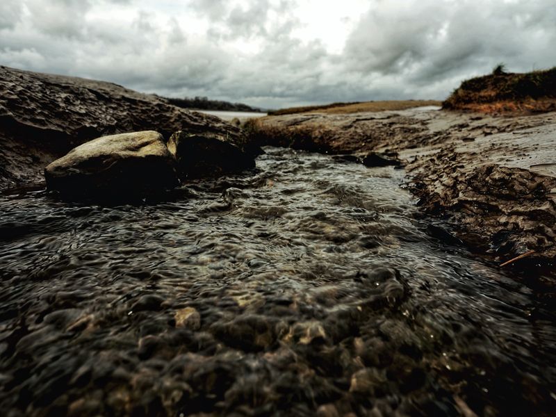 Jenny Brown's Point, Silverdale