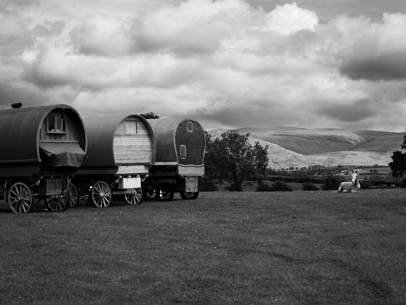 Appleby Horse Fair, Appleby-in-Westmorland, UK