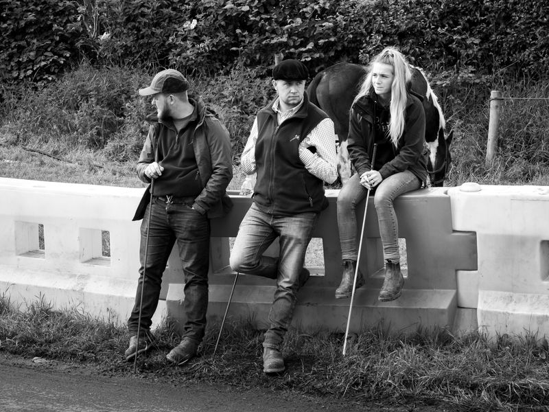 Appleby Horse Fair, Appleby-in-Westmorland, UK