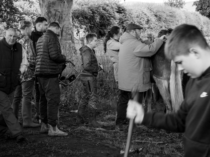 Appleby Horse Fair, Appleby-in-Westmorland, UK
