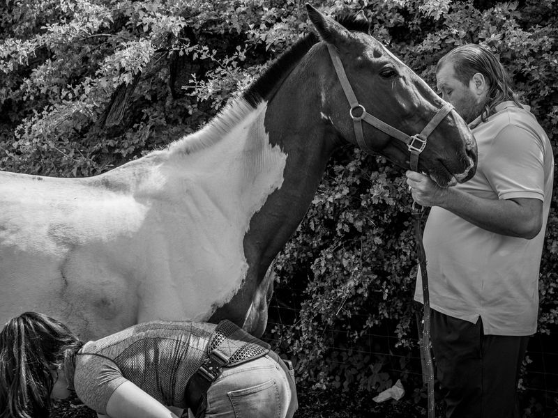 Appleby Horse Fair, Appleby-in-Westmorland, UK