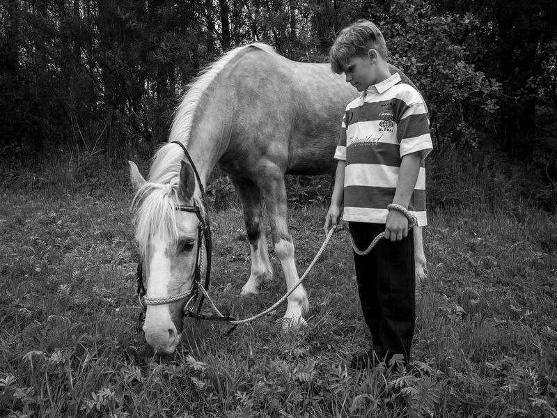 Appleby Horse Fair, Appleby-in-Westmorland, UK