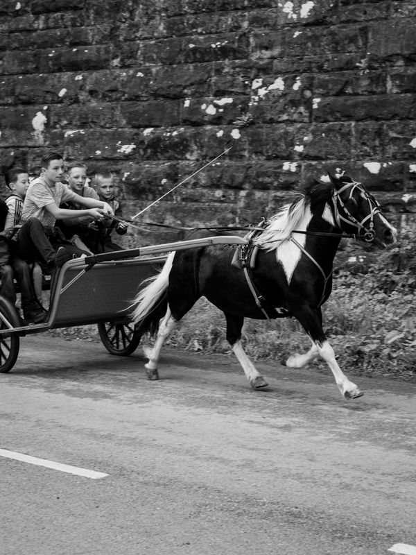 Appleby Horse Fair, Appleby-in-Westmorland, UK