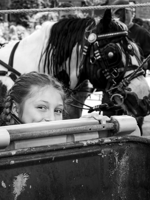 Appleby Horse Fair, Appleby-in-Westmorland, UK