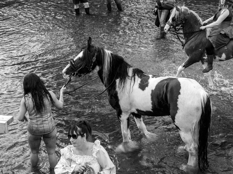Appleby Horse Fair, Appleby-in-Westmorland, UK