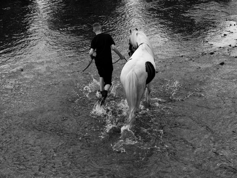 Appleby Horse Fair, Appleby-in-Westmorland, UK