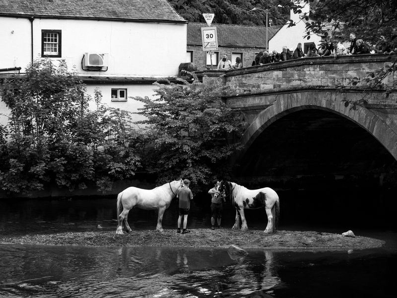 Appleby Horse Fair, Appleby-in-Westmorland, UK