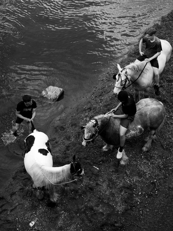 Appleby Horse Fair, Appleby-in-Westmorland, UK